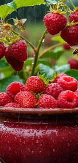 Red berries in a bowl with a bee and raindrops.