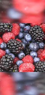 Colorful mix of berries including blackberries, blueberries, and raspberries.