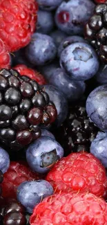 Vibrant wallpaper featuring raspberries and blackberries.
