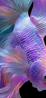 A vibrant Betta fish showcasing purple and blue hues with intricate fin details.