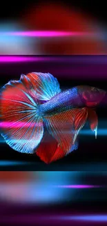 Vibrant Betta fish with blue and red colors on a dynamic background.