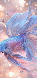 A vibrant betta fish against a glowing, bokeh background.