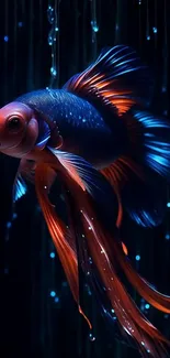 A vibrant betta fish with flowing fins against a dark aquatic background.