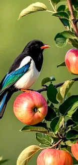 Vibrant bird perched on apple tree branch with lush foliage.