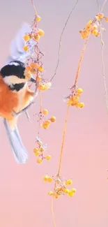 Bird with vibrant orange and black plumage among yellow berries.