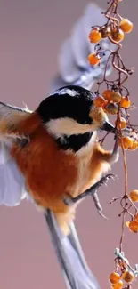 A vibrant bird with colorful berries on a branch, perfect for mobile wallpaper.