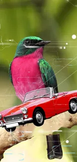 A vibrant bird and a red car on a nature-inspired mobile wallpaper.