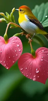Colorful bird on heart-shaped leaves wallpaper