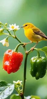 Colorful bird perched on bell peppers with lush green background.