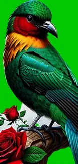 Colorful bird perched with red roses on bright green background.