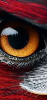 Close-up of vibrant bird eye with detailed feathers