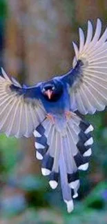 A vibrant bird with spread wings in flight against a lush green background.