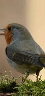 A vibrant bird perched on green moss, set against a soft background.