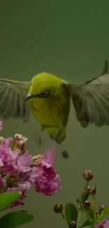 Vibrant green bird flying over pink flowers in this beautiful mobile wallpaper.