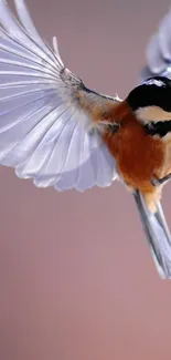 Mobile wallpaper of a vibrant bird in flight with a soft background.