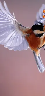 Bird in flight with colorful plumage and spread wings, set against a soft background.