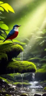 Vibrant bird perched in lush, sunlit forest with flowing water.