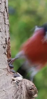 Blurred bird in motion on a tree with green background.