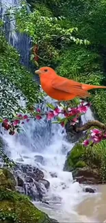 Orange bird perched on flowering branch near waterfall.