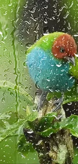 Vibrant bird on branch with raindrops in lush green setting.