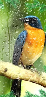 Colorful bird perched in rain on a branch.