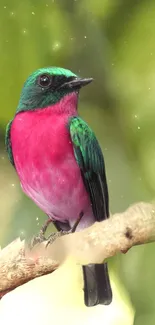 A vibrant bird with pink and green feathers perched on a branch.