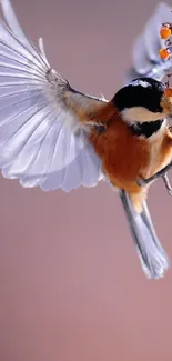 Bird with outstretched wings and orange berries.