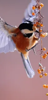 Colorful bird perched on autumn branch in stunning wallpaper.