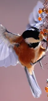 Vibrant bird perched on a branch with berries, perfect mobile wallpaper for nature lovers.