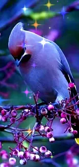 Vibrant bird perched on berry branch with blue and purple background.