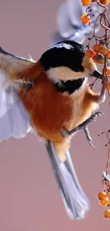 Vibrant bird perched on berry branch in nature.