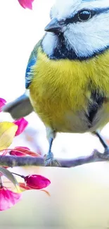 Vibrant bird perched on blooming branch with vivid colors.