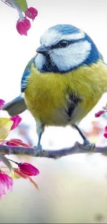 Colorful bird on a blossom branch wallpaper.