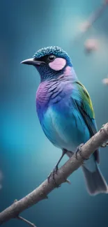 Colorful bird perched on a branch against a soft blue background.