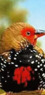 Vibrant bird perched on a branch, showcasing colorful plumage.