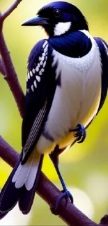 Vibrant bird perched on a branch against blurred green background.