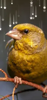 Yellow bird perched on a branch with a soft-focus background.