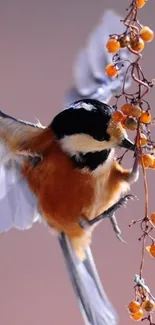 Colorful bird perched on a branch with berries.