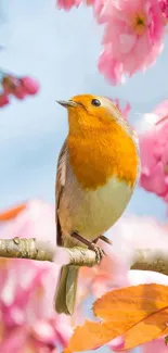 Colorful bird perched among pink cherry blossoms.