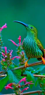 Colorful bird perched on a floral branch.