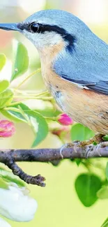 Colorful bird perched on blooming branch, vibrant mobile wallpaper.