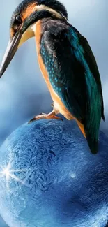 Vibrant bird perched on icy globe with a blue frost background.