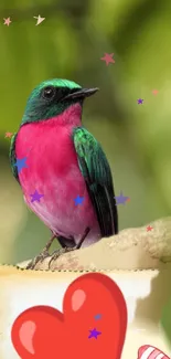 Colorful bird perched on a branch with a vibrant pink and green design.