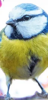 Vibrant bird perched on blooming branch.