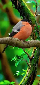 A colorful bird perched on a lush tree branch with vibrant green leaves.