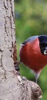 Colorful bird perched on a tree trunk in a vibrant nature setting.