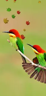 Bee-eaters perched on branch, vibrant green background.