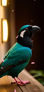 A vibrant teal bird with striking feathers perches indoors in warm lighting.