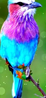 Vibrant bird perched on a branch, showcasing colorful plumage against a green background.