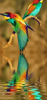 Vibrant birds with colorful feathers reflected in water, beautiful wallpaper.